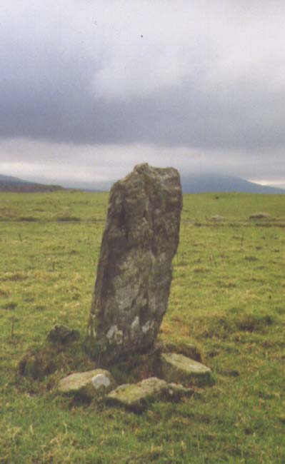 Click for the gallery page to add comments and vote (PID:5711) Moel Goedog 1