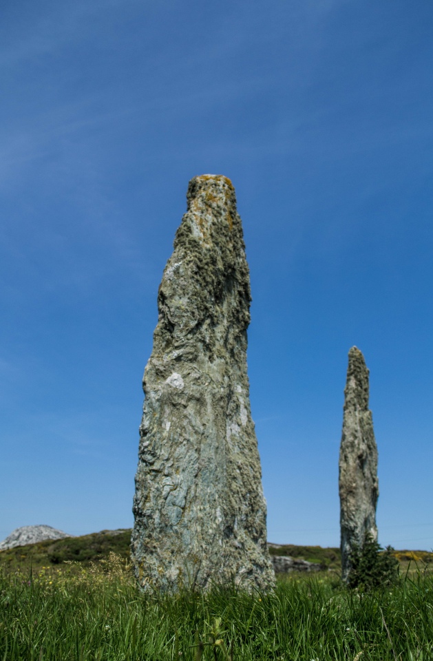 Click for the gallery page to add comments and vote (PID:205368) Penrhos-Feilw