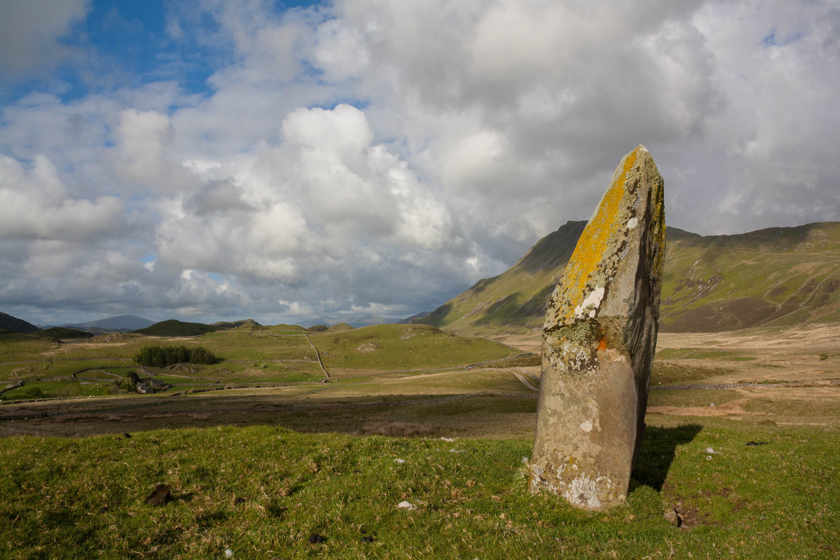 Click for the gallery page to add comments and vote (PID:165948) Planwydd Helyg Standing Stone