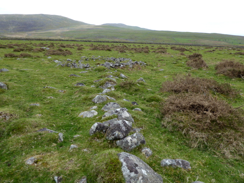 Cors Uchaf E Hut Group