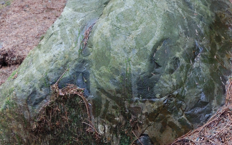 Click for the gallery page to add comments and vote (PID:72910) Cyfannedd Fawr erratic