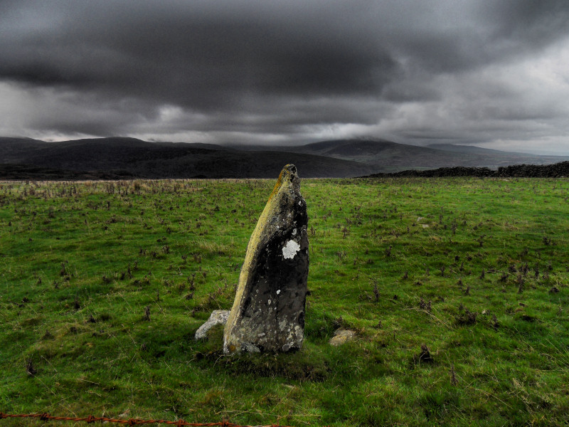 Moel Goedog 8