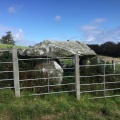 Mynydd Cefn Amlwch - PID:215399