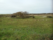 Enclosed Hut Circle Settlement North of Tyddyn Mawr