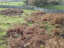 Hendre Eirian Hut Circles