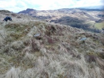 Creigiau'r Gelli Cairn