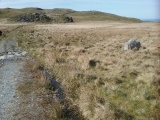 Click for full size image of Standing Stone South of Afon Eisingrug (PID:238525) Standing Stone South of Afon Eisingrug