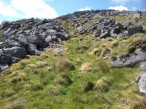 Hut Circle Settlement East of Craig Y Dinas