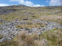 Hut Circle Settlement East of Craig Y Dinas