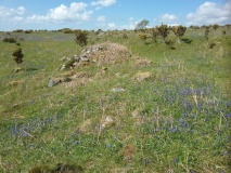 Cors Y Gedol Field System