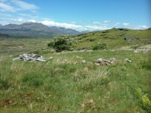 Nant Pasgan Mawr Hut Circle