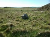 Click for full size image of Standing Stone South of Afon Eisingrug (PID:238526) Standing Stone South of Afon Eisingrug