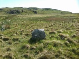 Click for full size image of Standing Stone South of Afon Eisingrug (PID:238527) Standing Stone South of Afon Eisingrug