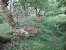 Coety Bach Hut Circle Settlement