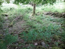Coety Bach Hut Circle Settlement