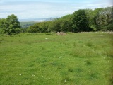 Click for full size image of Hut Circle Settlement East of Eisingrug (PID:227931) Hut Circle Settlement East of Eisingrug