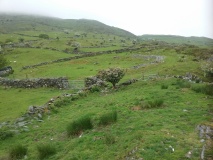 Circular Enclosure South West of Maes Y Caerau