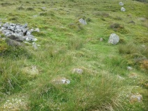 Parc Y Gleision Hut Circle Settlement