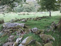 Cwm Bowydd Farm Hut Circle