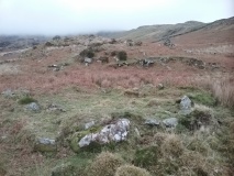 Enclosed Hut Circle at Gelli Iago