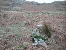 Enclosed Hut Circle at Gelli Iago