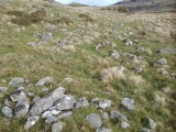 Afon Eisingrug Hut Circle