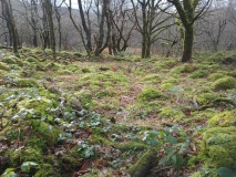 Nurse Cae Du Enclosed Hut Circle Settlement