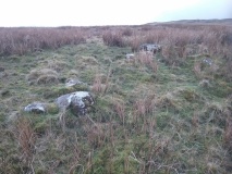 Brynteg Settlement