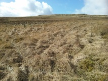 Brynteg Settlement
