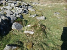 Y Gyrn Hut Circle Settlement
