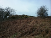 Hafod y Coed Hut Circle