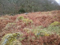 Llanfair Hut Circle