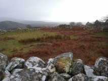 Tyddyn Du Circular Enclosure