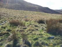 Settlement East of Tyrrau Mawr