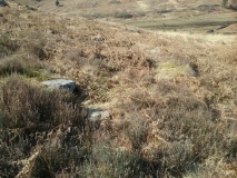 Nant Ystrad Hut Circle