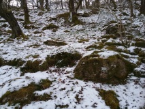 Y Garth Settlement