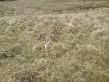 Llyn Gelli Gain Cairn