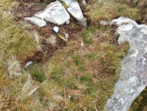 Cairn and Cist west of Llyn Gelli Gain