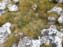 Two Cairns east of Craiglaseithin
