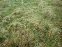 Hut Circle Settlement west of Moel Oernant