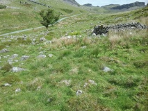 Cwm Teigl Hut Circle