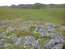 Afon Gamallt Hut Circles and Enclosure