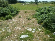 Enclosed Hut Group near Ty Mawr