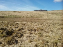 Crawcwellt Cairn 2