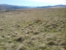 Moel Y Gwartheg Cairn 7