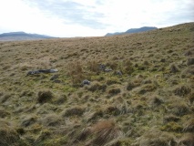 Moel Y Gwartheg Cairn 8