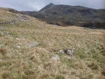 Gelli Iago, Cwm Dylif Hut Circles and Enclosure