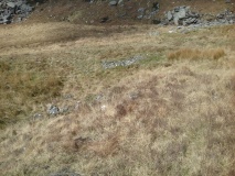 Gelli Iago, Upper Cwm Dylif Hut Circle Group