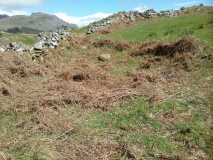 Moel Dinas Hill Fort