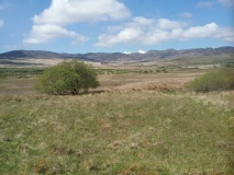 Eden Standing Stone